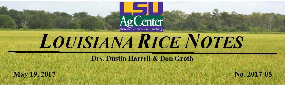 2017 Louisiana Rice Field Notes #5